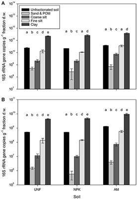 Bacterial Preferences for Specific Soil Particle Size Fractions Revealed by Community Analyses